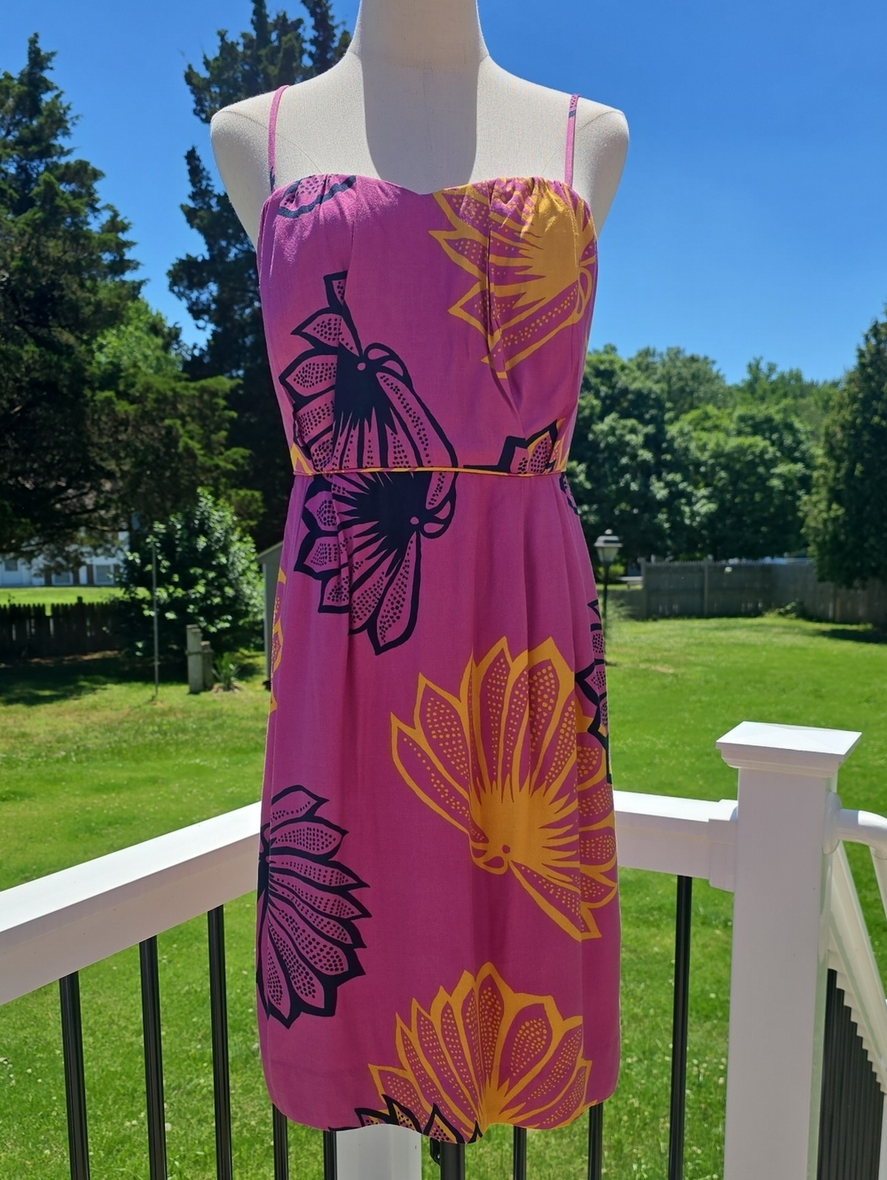 Anthropologie Sariah Agave Burst Dress